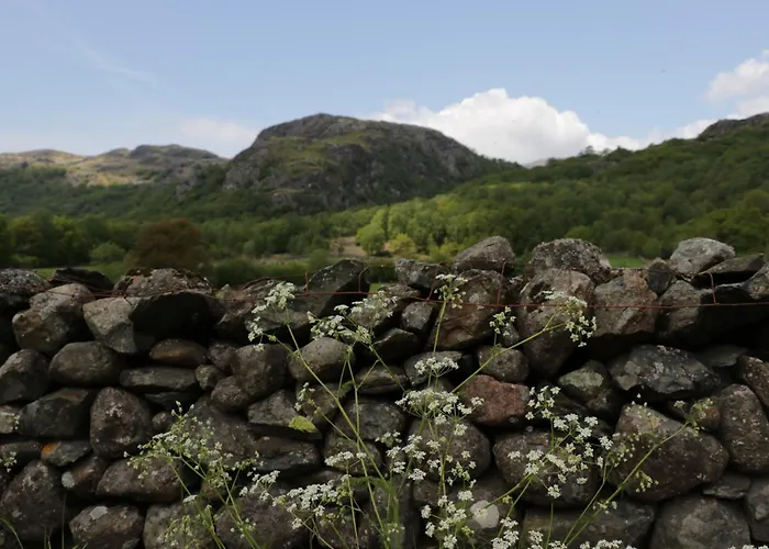 The Bothy